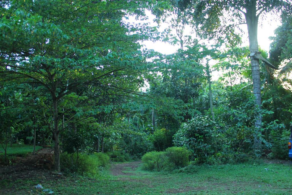 Abberny Villa Midigama East Room photo