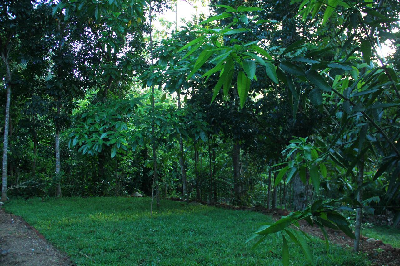 Abberny Villa Midigama East Exterior photo